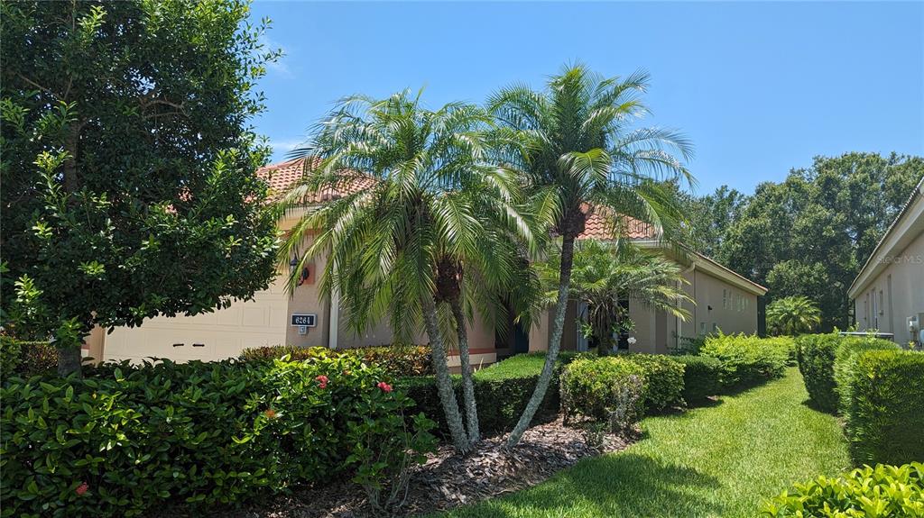 a view of house with palm trees