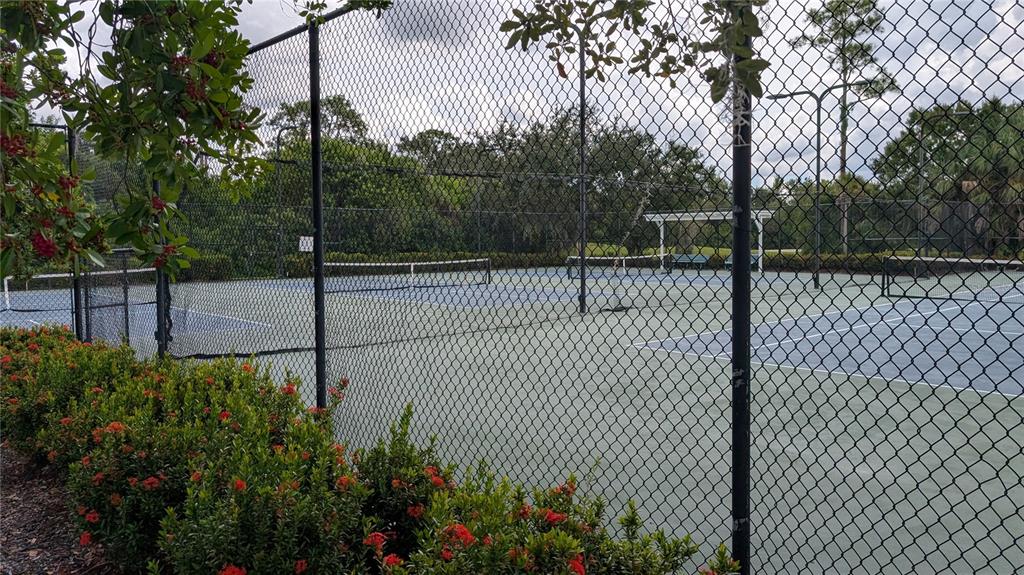 6264 Wingspan Way Bradenton, FL 34203 - Photo 24 of 27 a view of a backyard