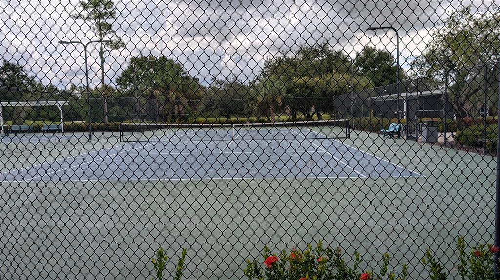 6264 Wingspan Way Bradenton, FL 34203 - Photo 25 of 27 a view of a backyard