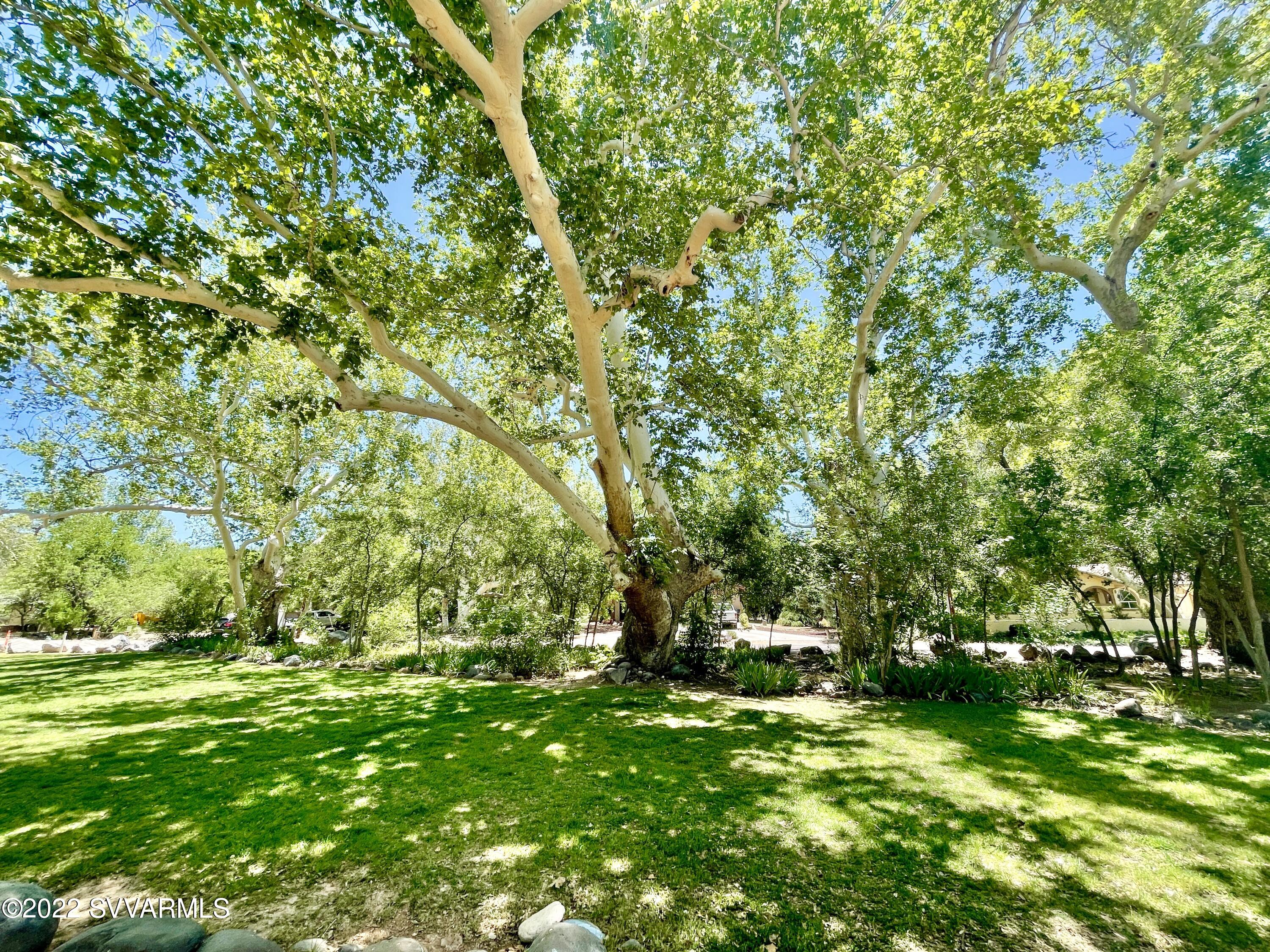3685 East Rimrock Drive Rimrock, AZ 86335 - Photo 46 of 47 a view of a lush green space