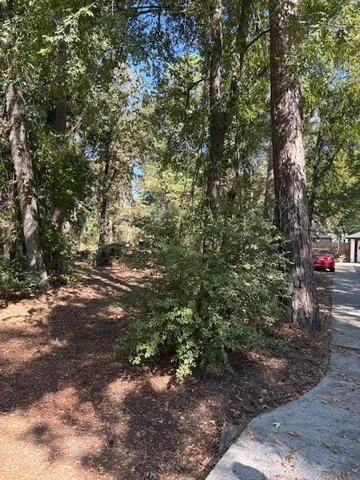 a view of a yard with plants and trees