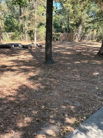 a view of a tree in the middle of a yard
