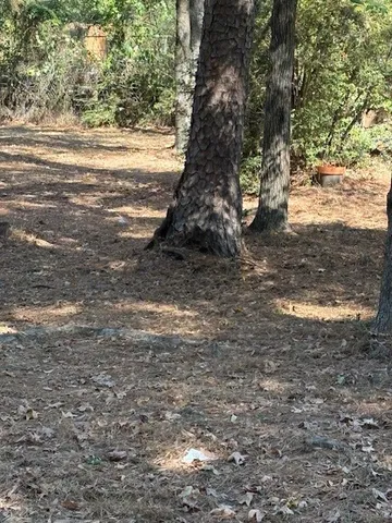 a picture of trees with wooden fence