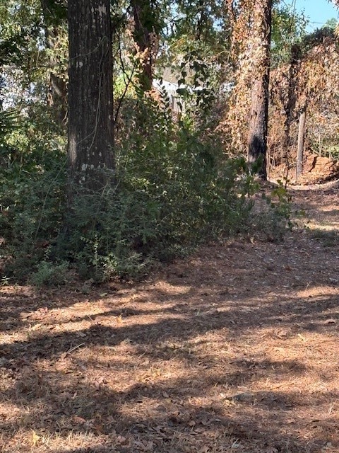 0 Sagewood Drive Spring, TX 77386 - Photo 6 of 12 a view of a yard with large trees