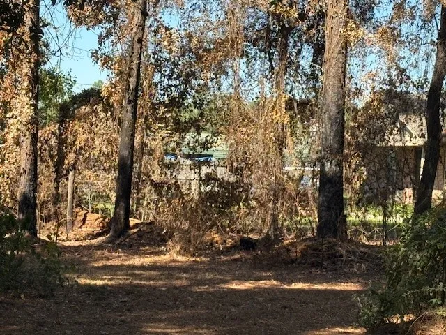 a view of outdoor space with a lake view