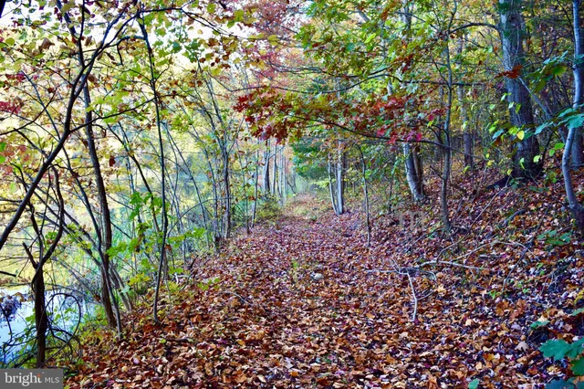 a view of a volley ball court