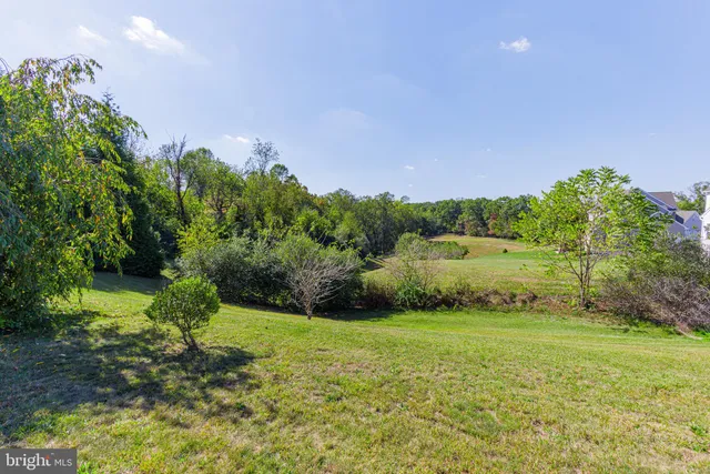 a view of a grassy field with trees