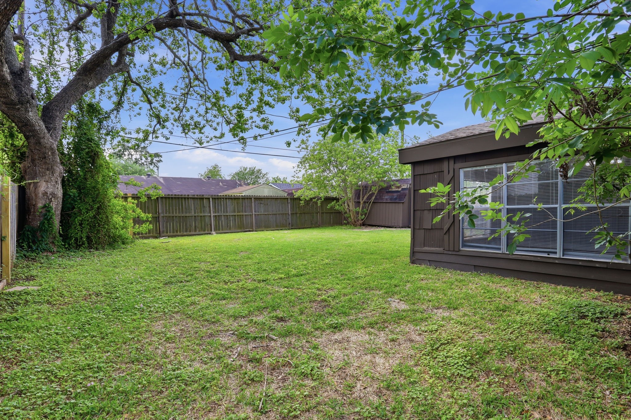 5242 Grace Point Lane Houston, TX 77048 - Photo 37 of 38 a view of a yard with a house and a large tree