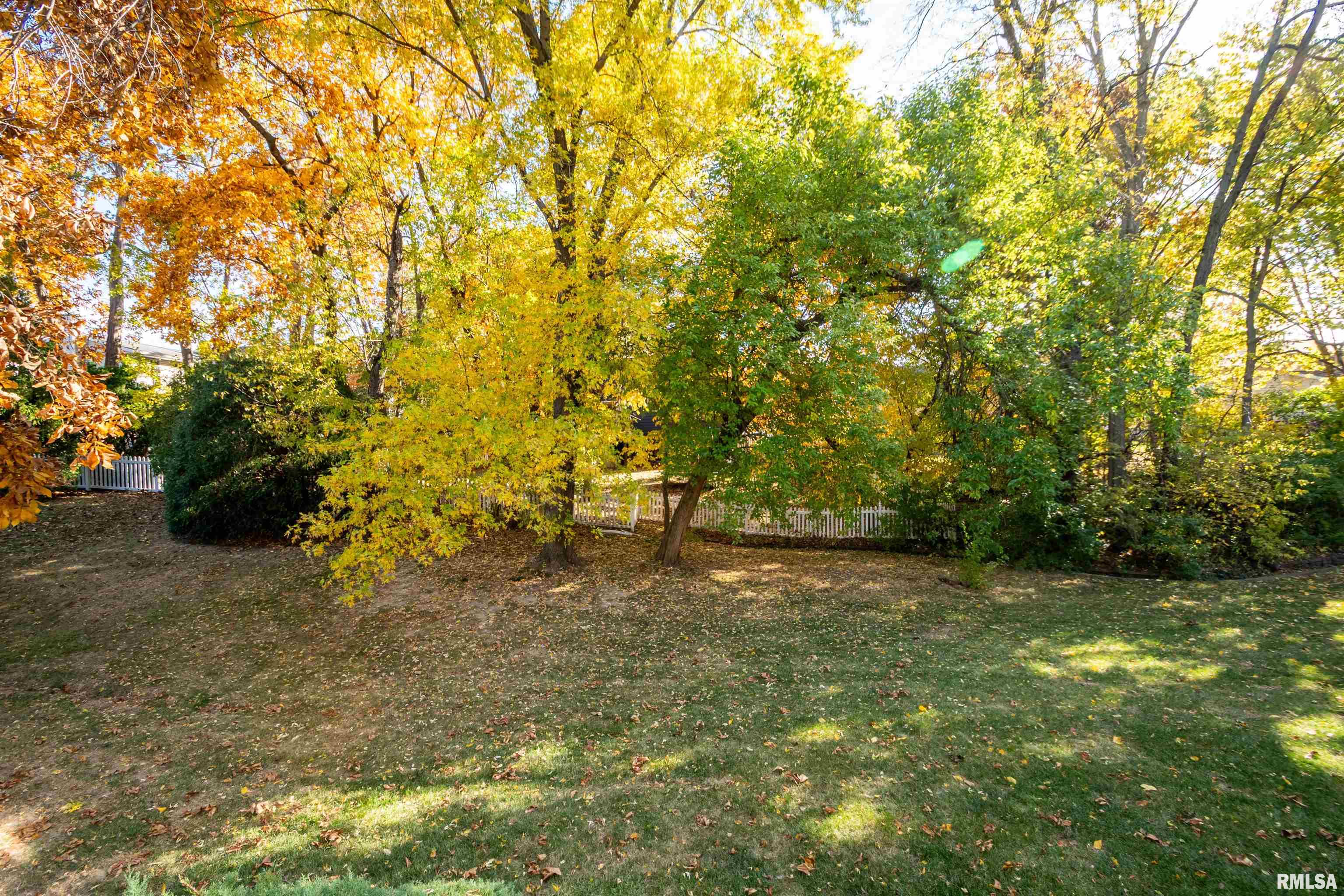 6520 North Talisman Terrace Peoria, IL 61615 - Photo 44 of 46