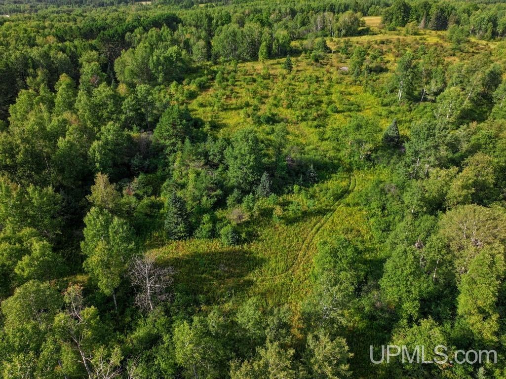 576 Bates-Gaastra Road Iron River, MI 49935 - Photo 59 of 68 Gallery Image 59