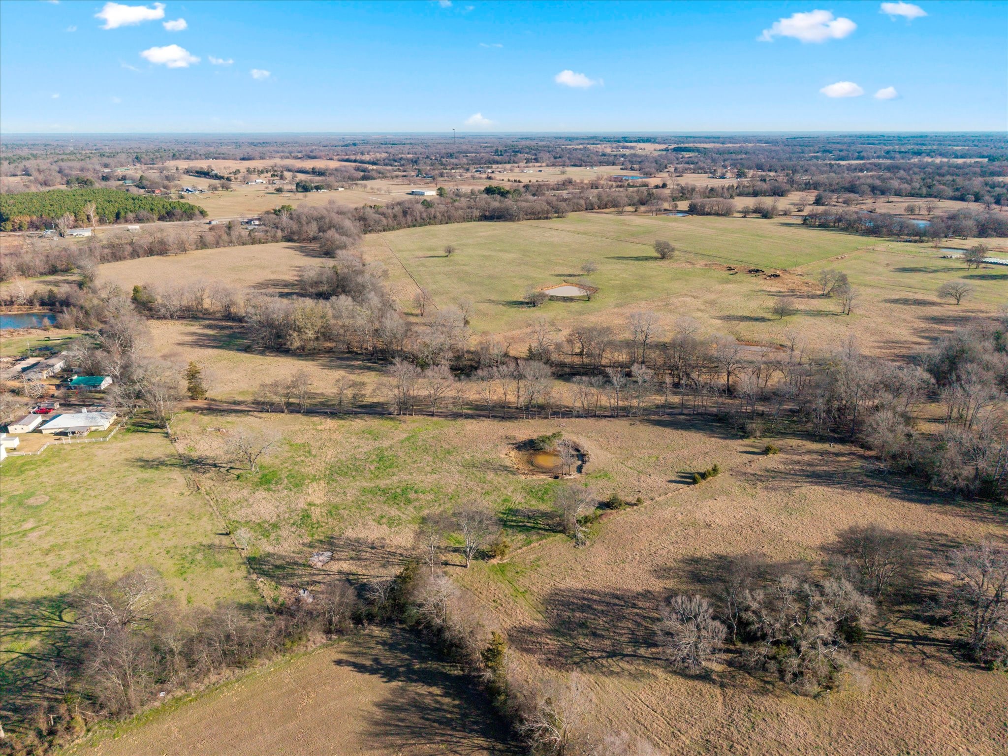 4315 County Road Omaha, TX 75571 - Photo 15 of 19
