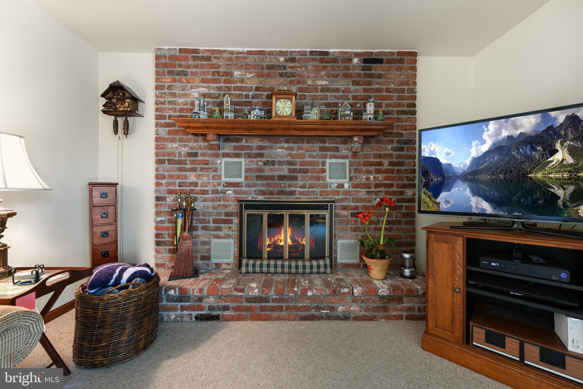 13 Marie Drive Sinking Spring, PA 19608 - Photo 19 of 55 a living room with furniture a flat screen tv and a fireplace