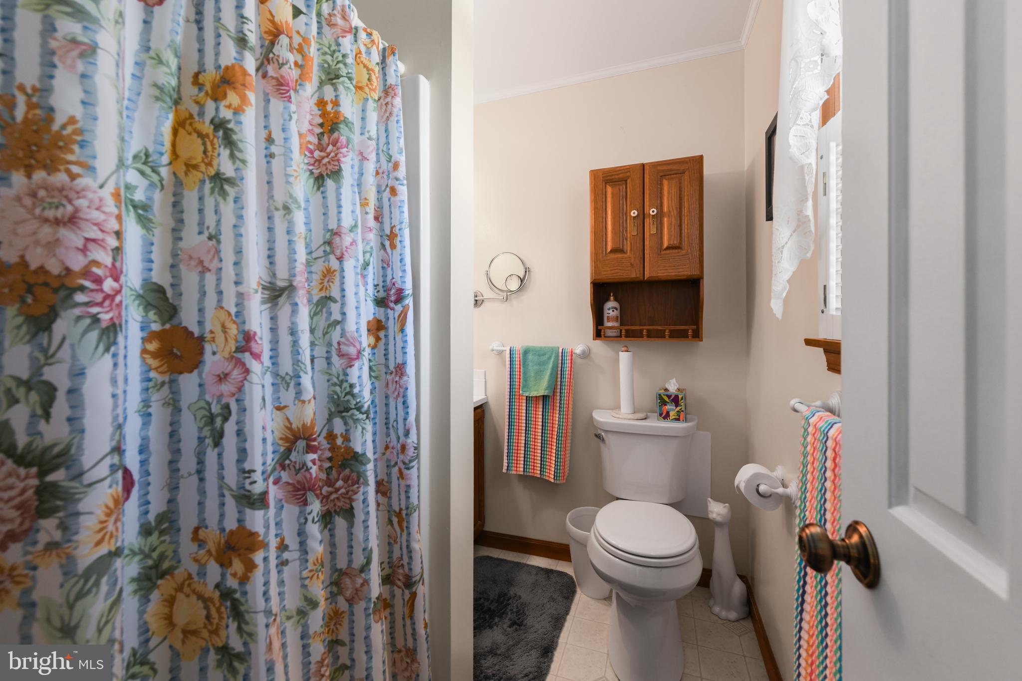 13 Marie Drive Sinking Spring, PA 19608 - Photo 27 of 55 a bathroom with a toilet and a shower curtain