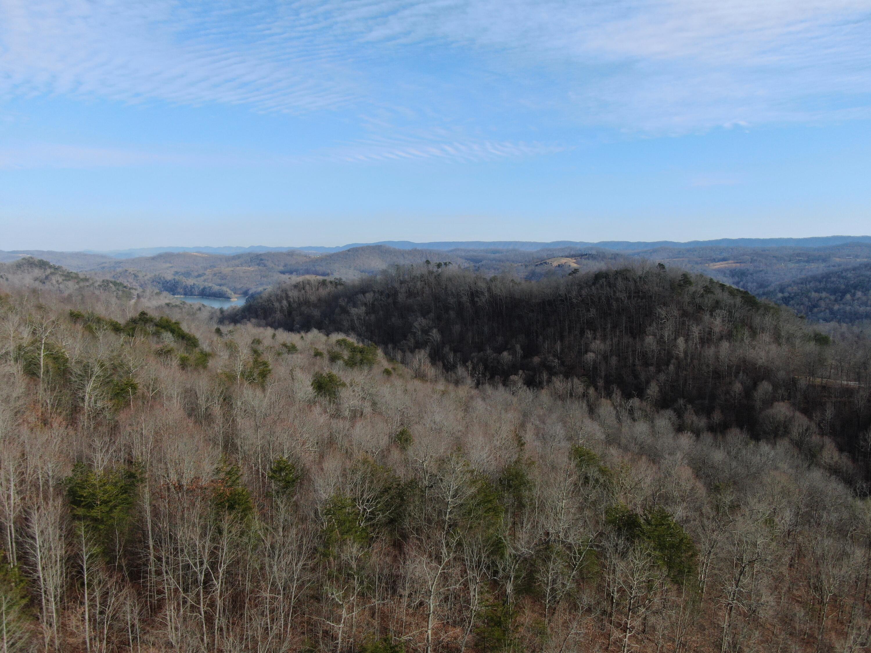 Lot 161 Whistle Valley Road, Unit 161 New Tazewell, TN 37825 - Photo 11 of 42 Drone Photo