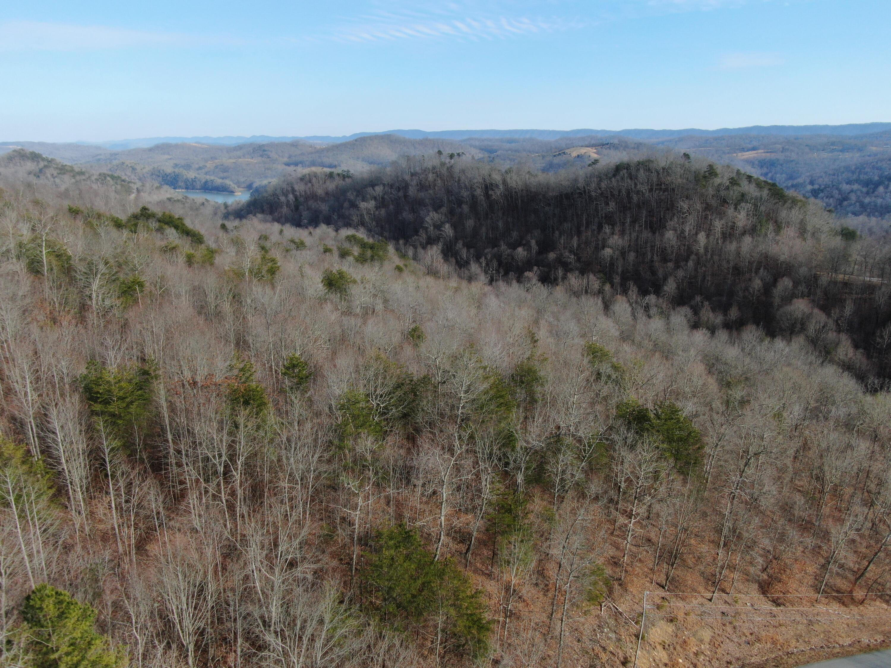 Lot 161 Whistle Valley Road, Unit 161 New Tazewell, TN 37825 - Photo 12 of 42 Drone Photo
