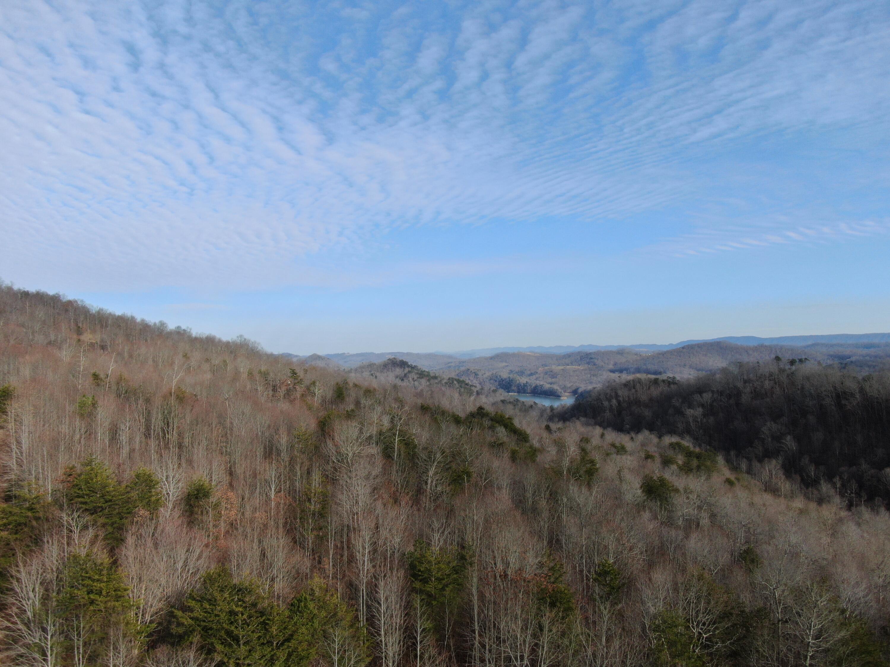 Lot 161 Whistle Valley Road, Unit 161 New Tazewell, TN 37825 - Photo 13 of 42 Drone Photo
