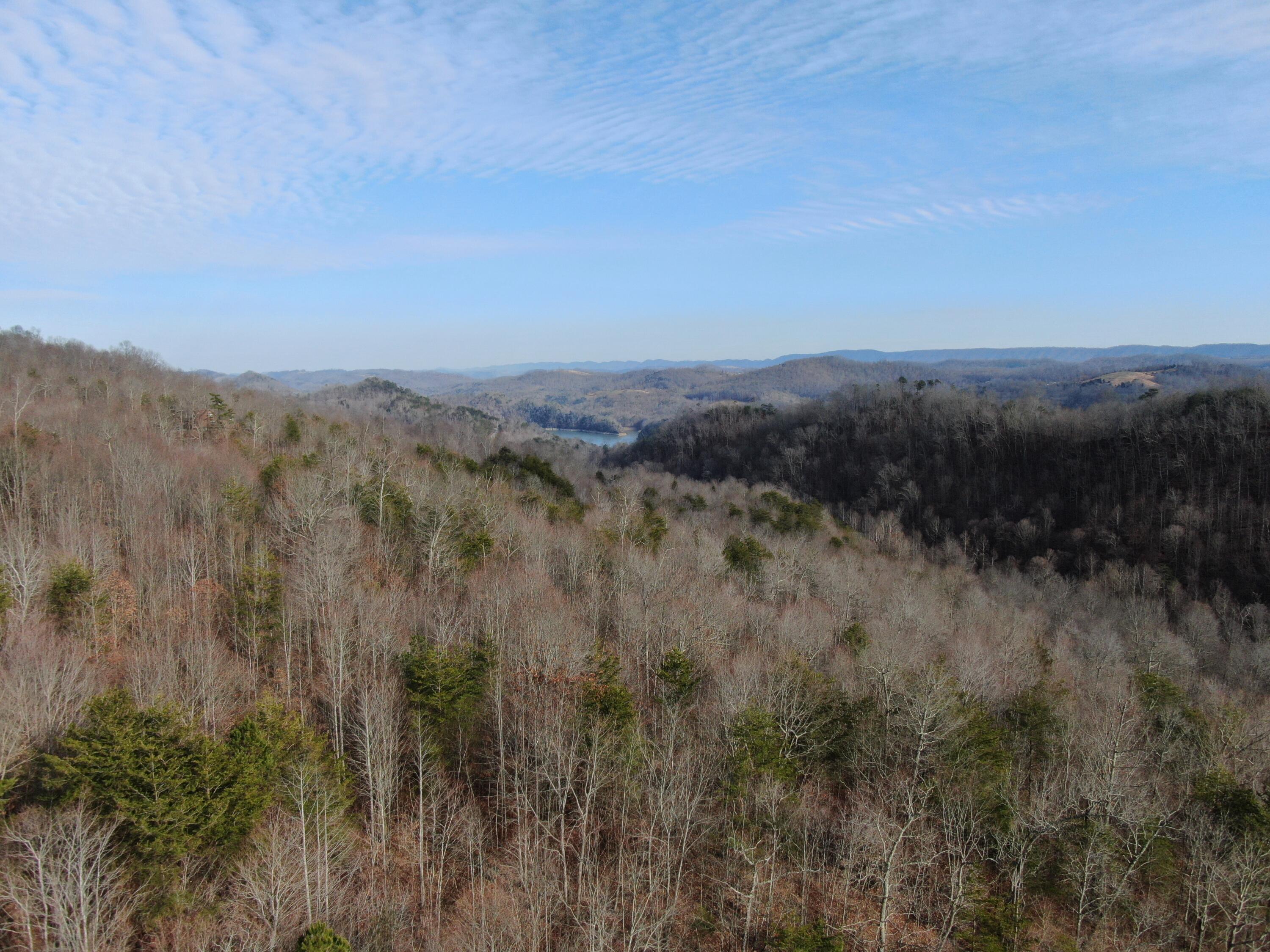 Lot 161 Whistle Valley Road, Unit 161 New Tazewell, TN 37825 - Photo 14 of 42 Drone Photo