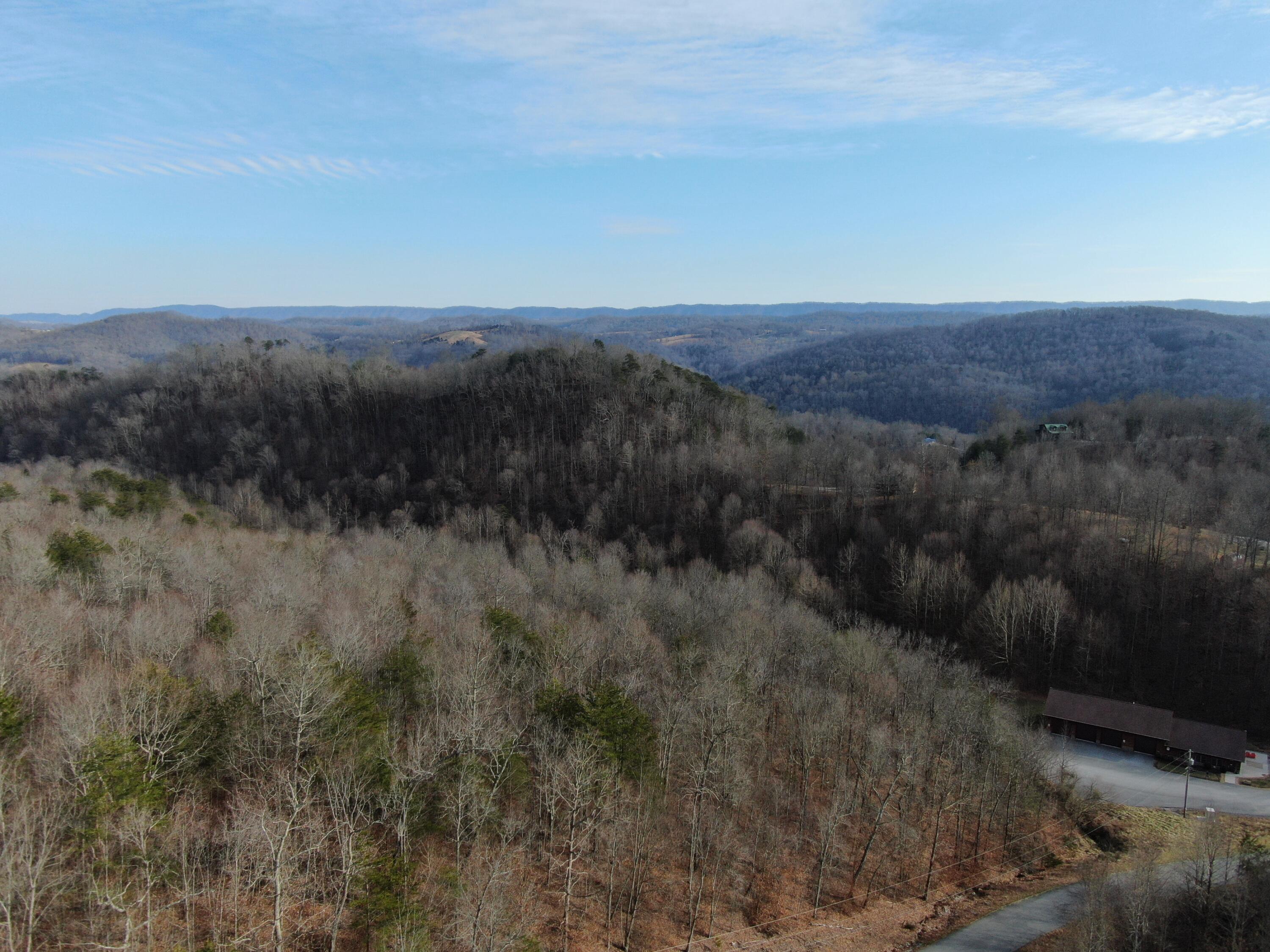Lot 161 Whistle Valley Road, Unit 161 New Tazewell, TN 37825 - Photo 15 of 42 Drone Photo