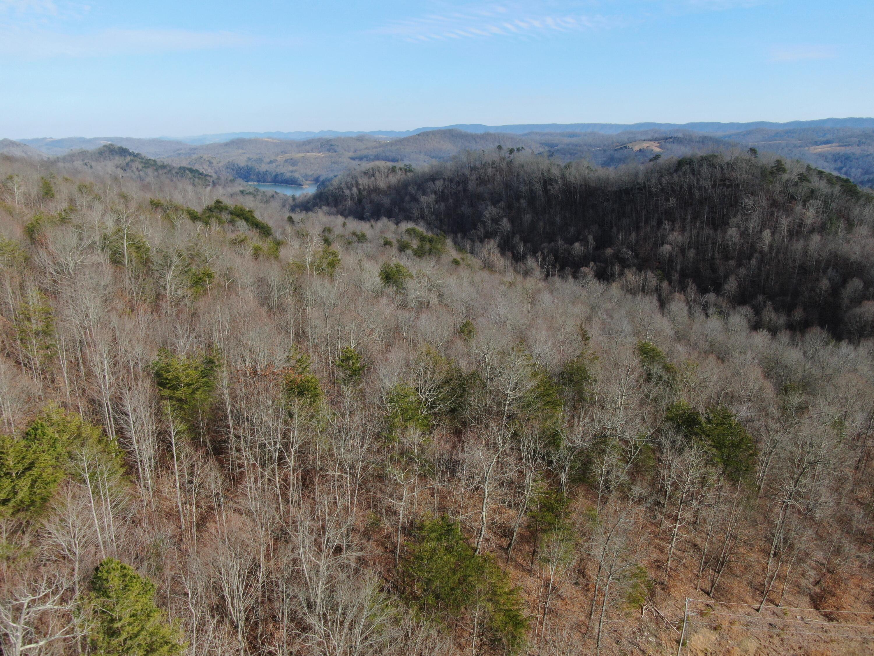 Lot 161 Whistle Valley Road, Unit 161 New Tazewell, TN 37825 - Photo 16 of 42 Drone Photo