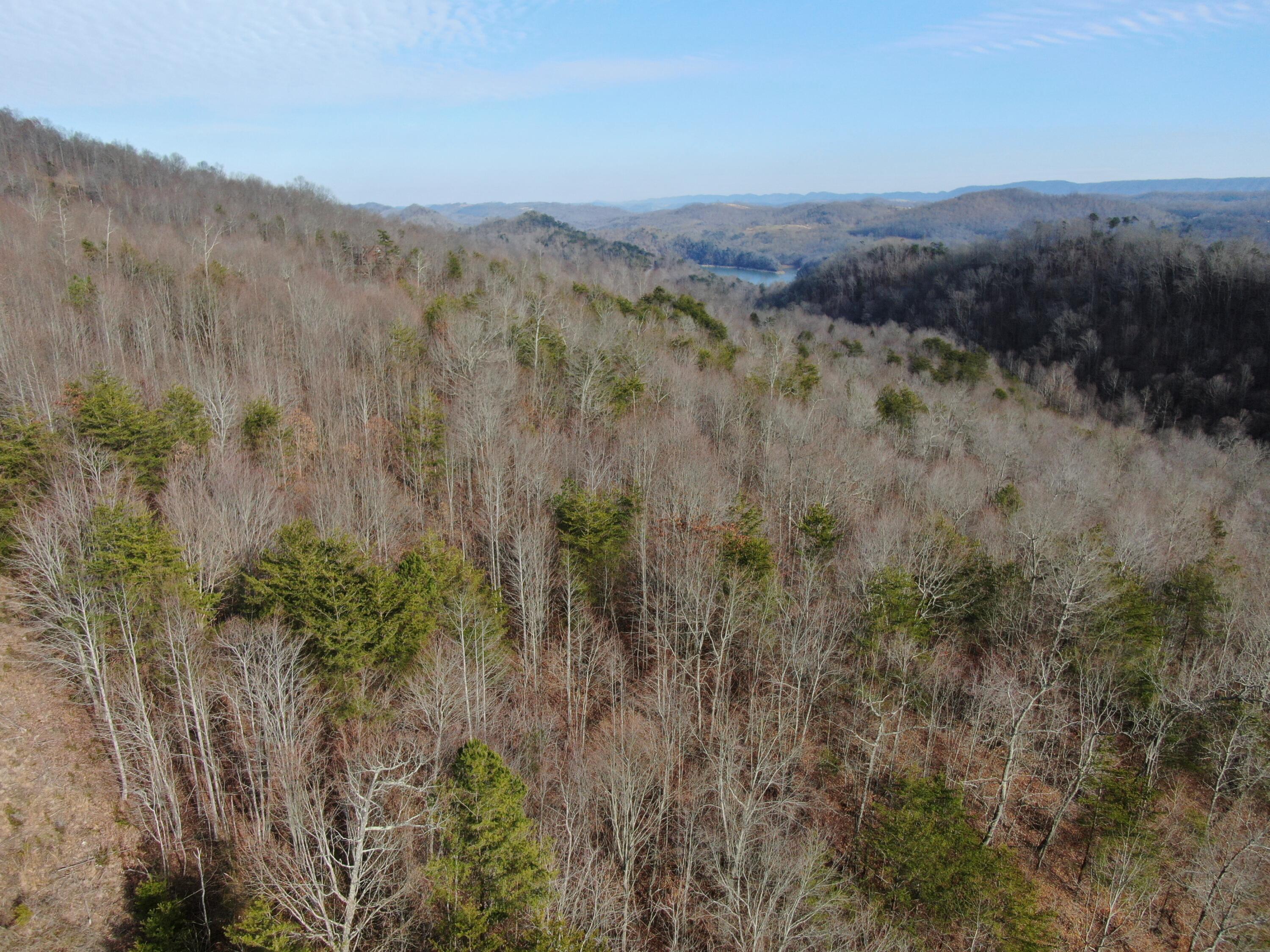 Lot 161 Whistle Valley Road, Unit 161 New Tazewell, TN 37825 - Photo 17 of 42 Drone Photo