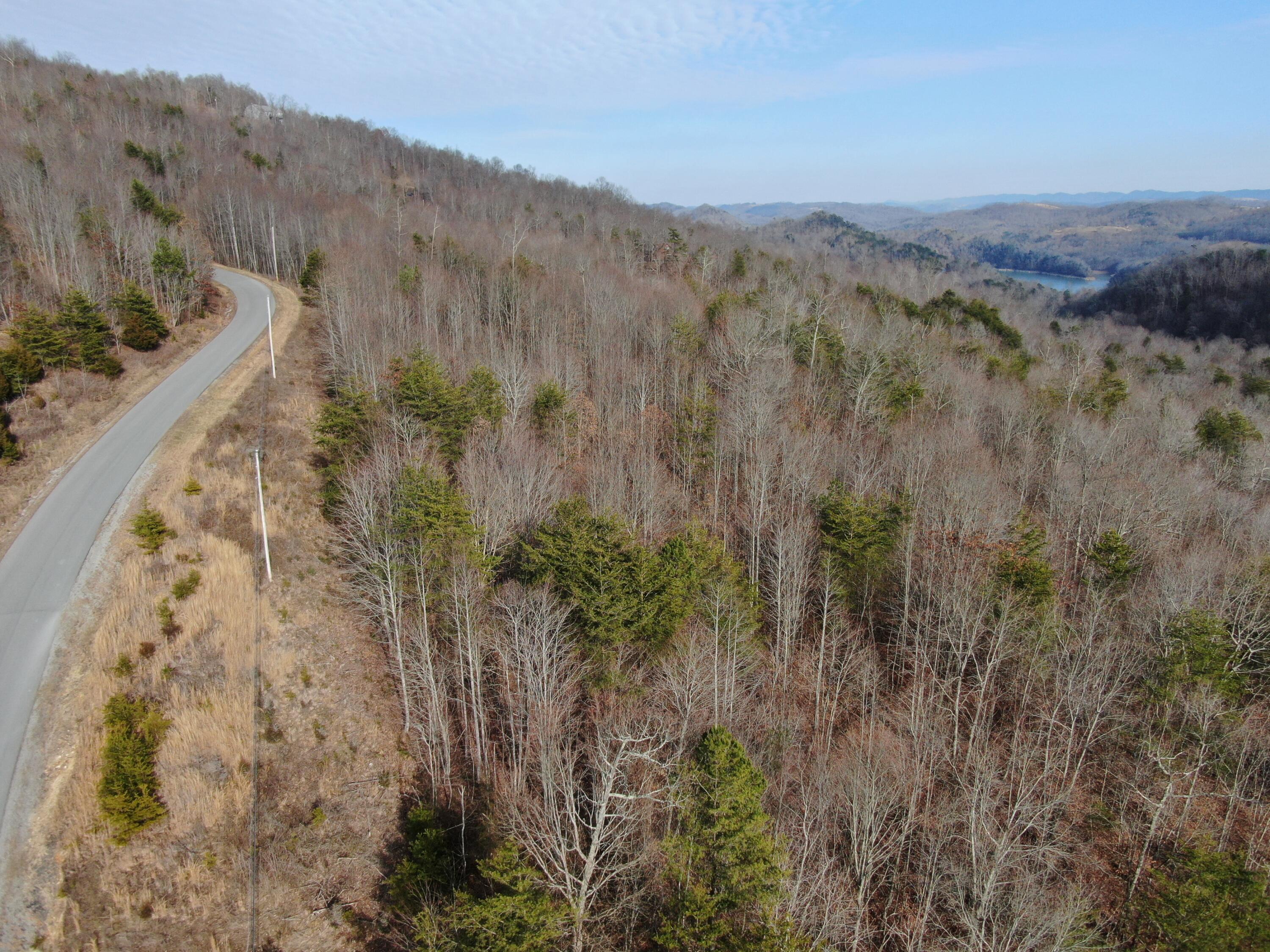 Lot 161 Whistle Valley Road, Unit 161 New Tazewell, TN 37825 - Photo 18 of 42 Drone Photo