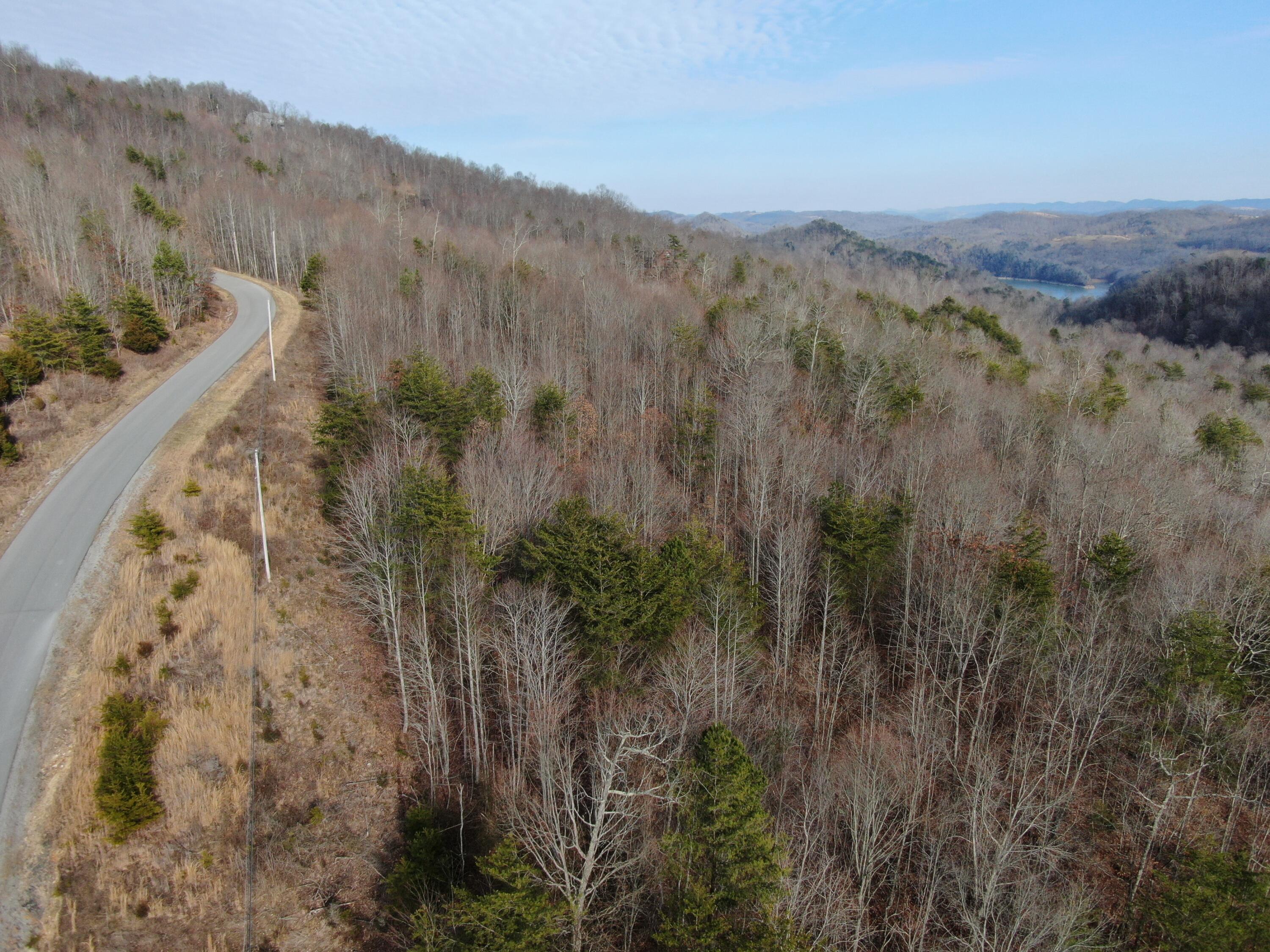 Lot 161 Whistle Valley Road, Unit 161 New Tazewell, TN 37825 - Photo 19 of 42 Drone Photo