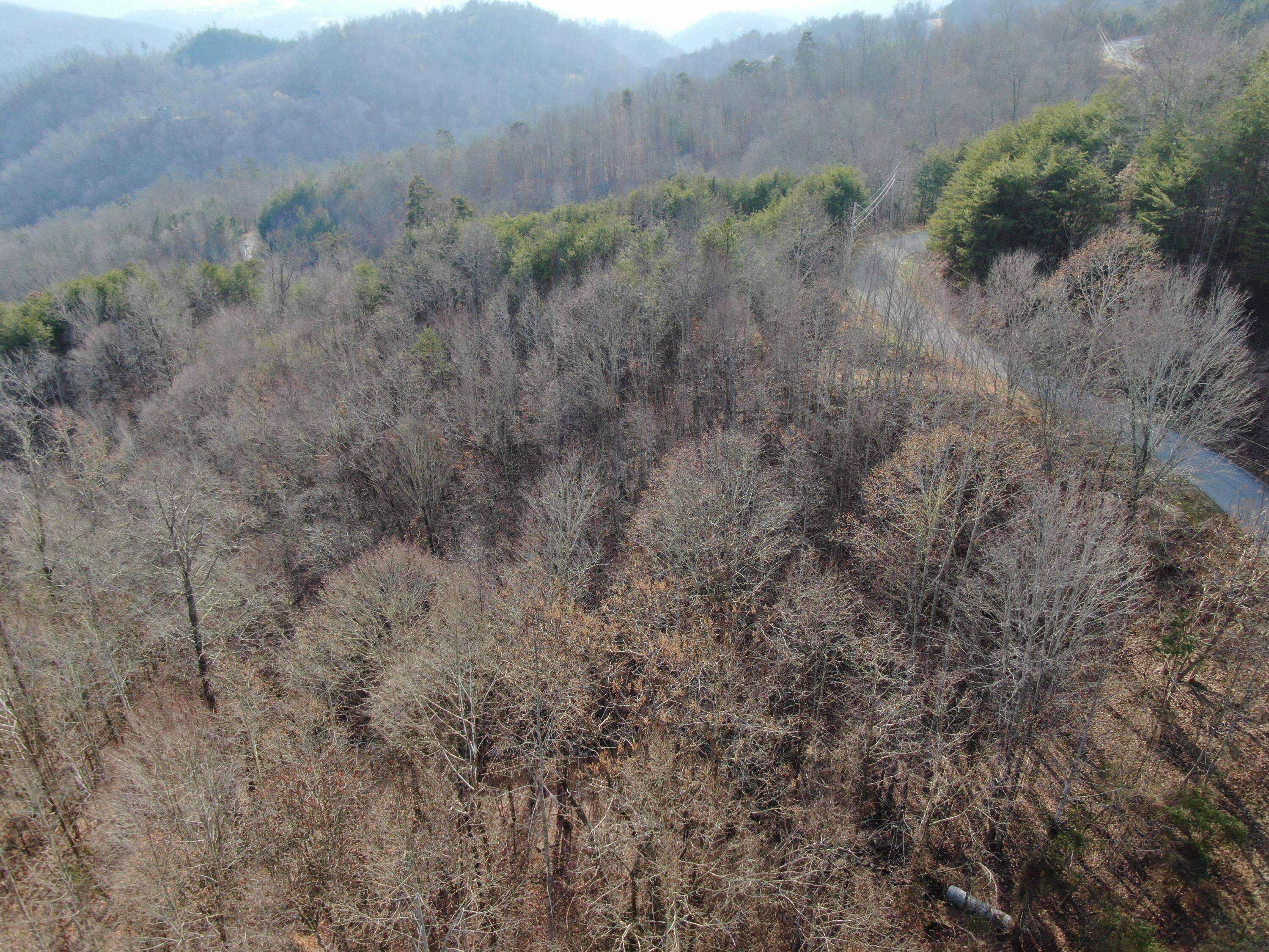 Lot 161 Whistle Valley Road, Unit 161 New Tazewell, TN 37825 - Photo 20 of 42 Drone Photo