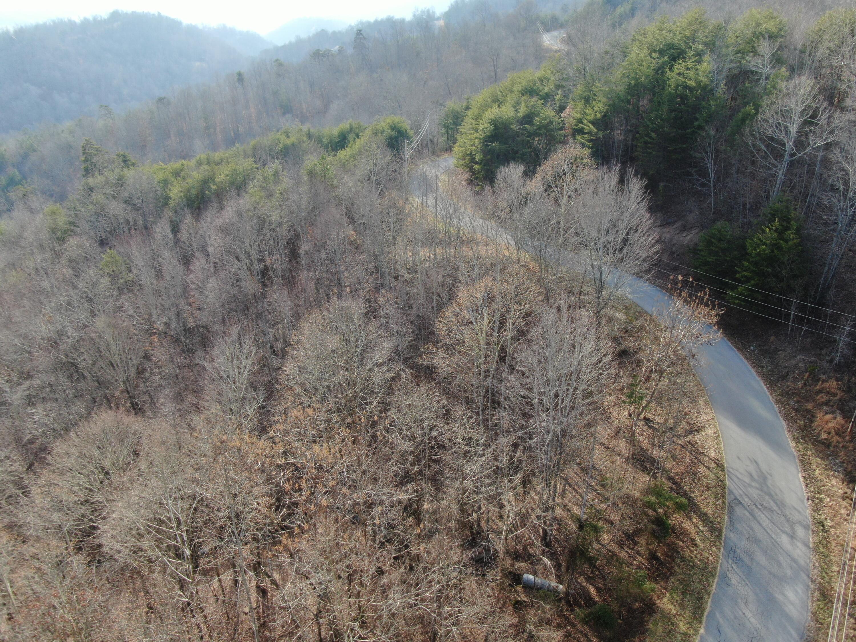 Lot 161 Whistle Valley Road, Unit 161 New Tazewell, TN 37825 - Photo 21 of 42 Drone Photo