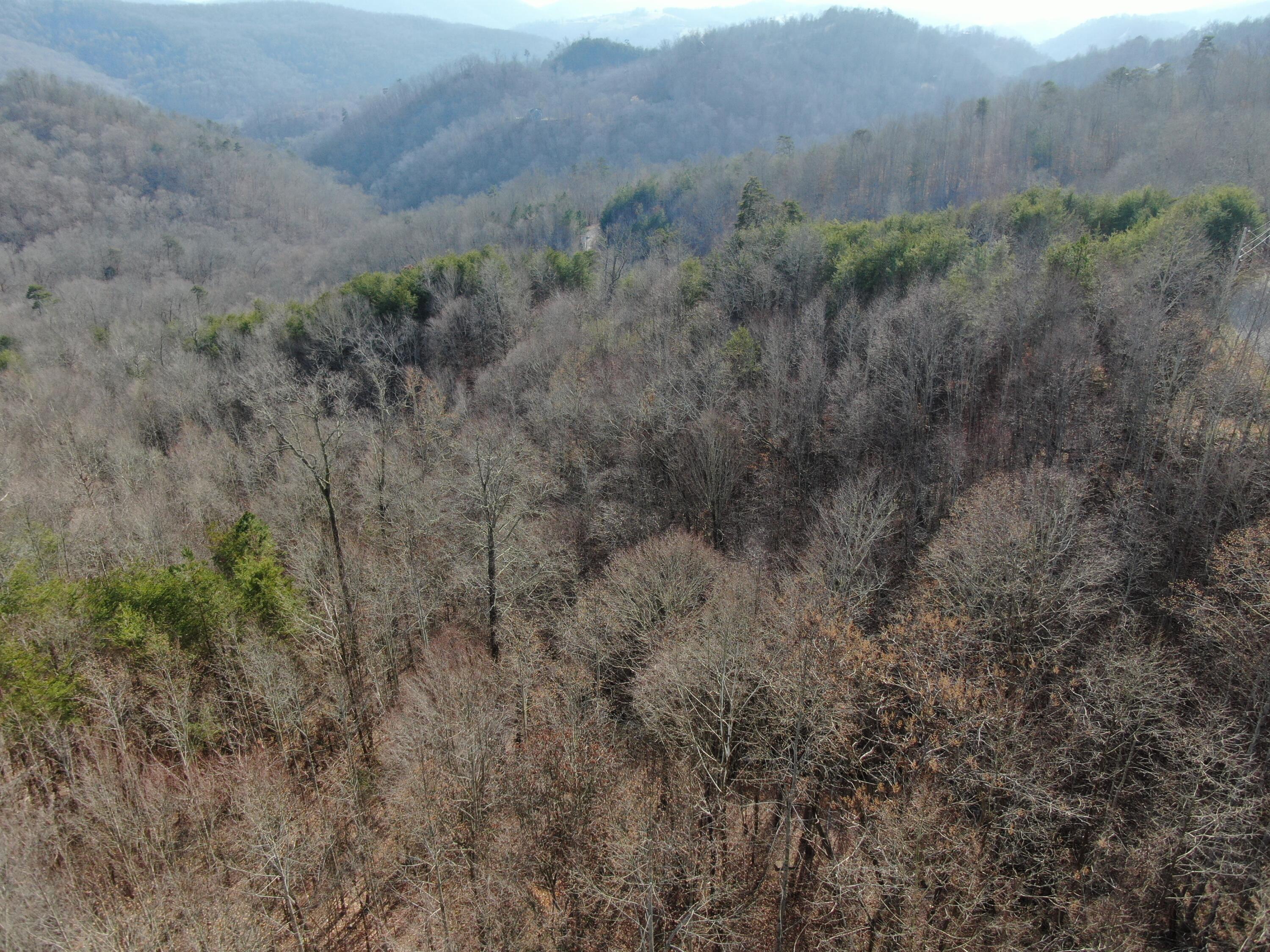 Lot 161 Whistle Valley Road, Unit 161 New Tazewell, TN 37825 - Photo 22 of 42 Drone Photo