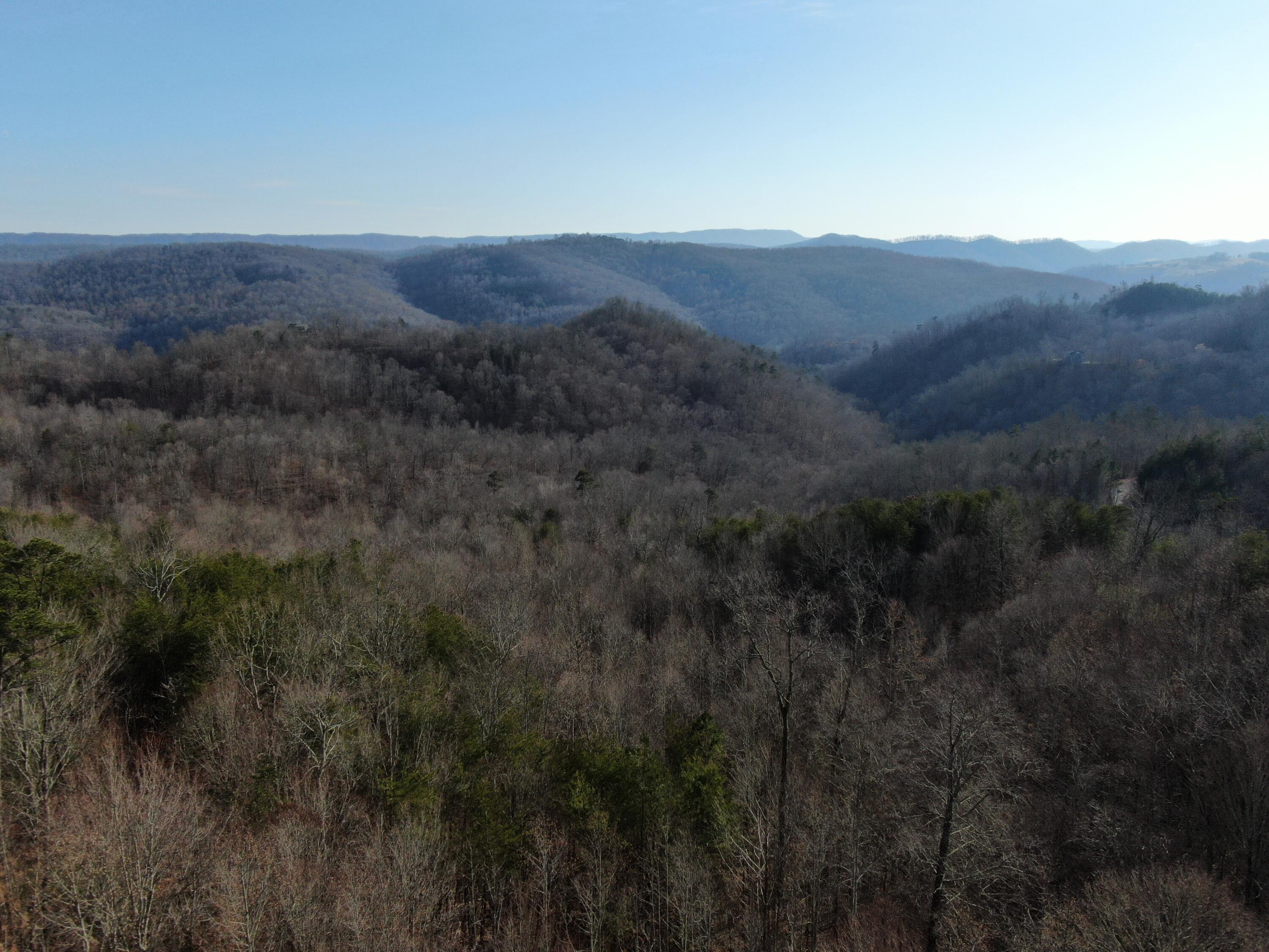 Lot 161 Whistle Valley Road, Unit 161 New Tazewell, TN 37825 - Photo 23 of 42 Drone Photo