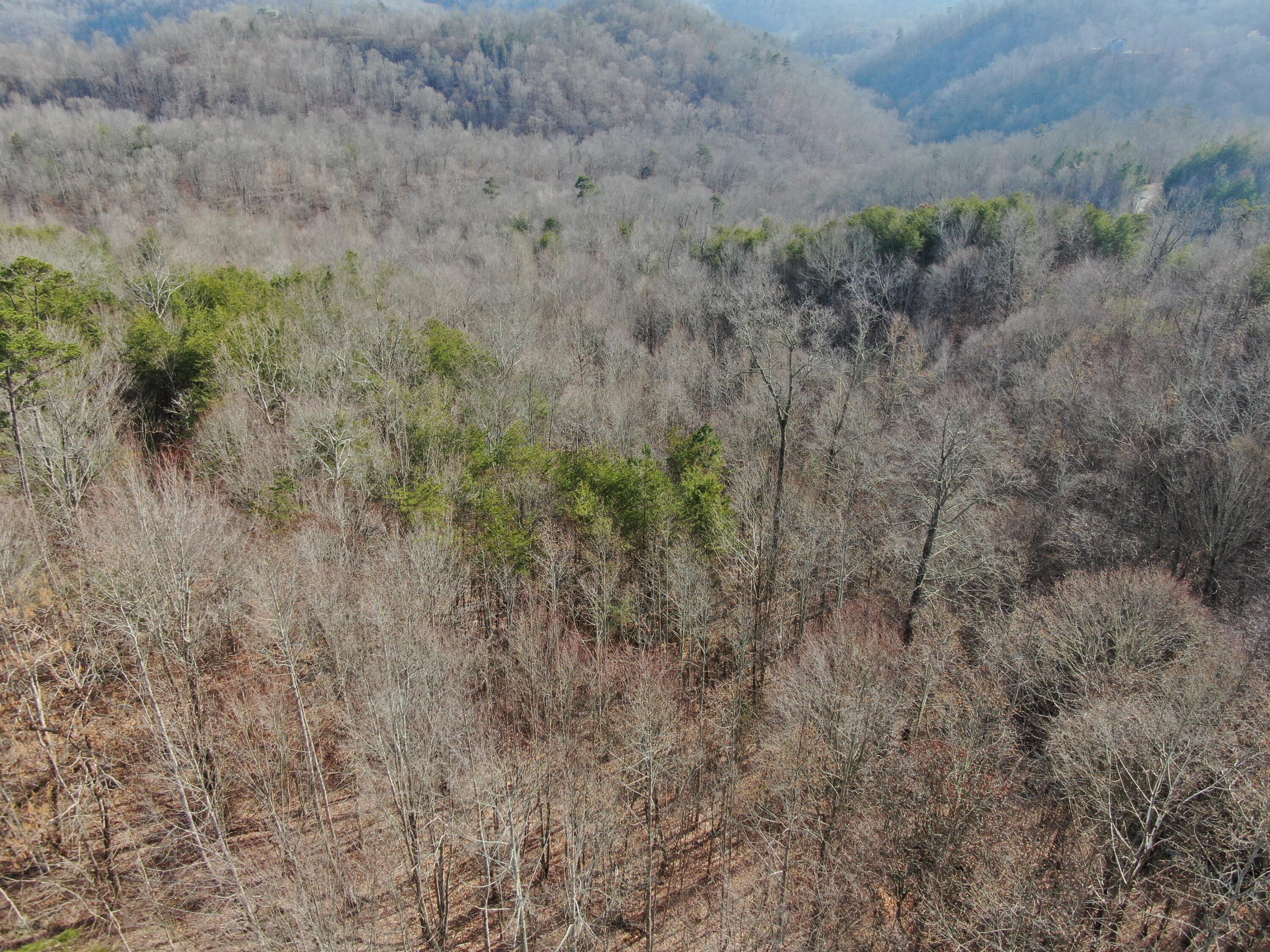 Lot 161 Whistle Valley Road, Unit 161 New Tazewell, TN 37825 - Photo 24 of 42 Drone Photo