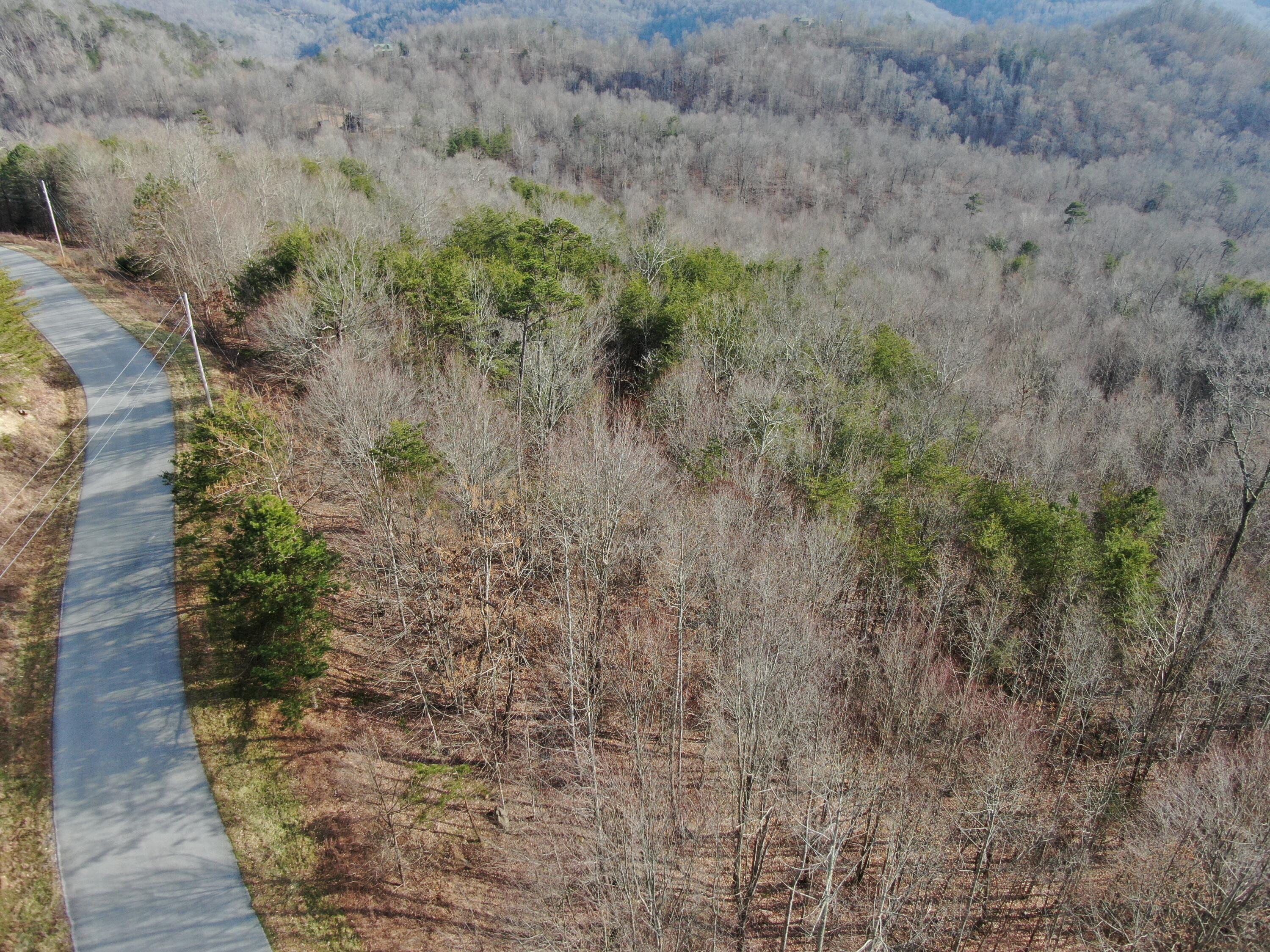 Lot 161 Whistle Valley Road, Unit 161 New Tazewell, TN 37825 - Photo 25 of 42 Drone Photo