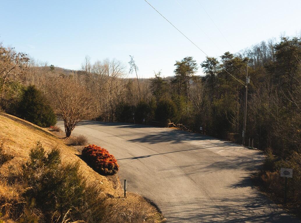 Lot 161 Whistle Valley Road, Unit 161 New Tazewell, TN 37825 - Photo 34 of 42 Drone Photo