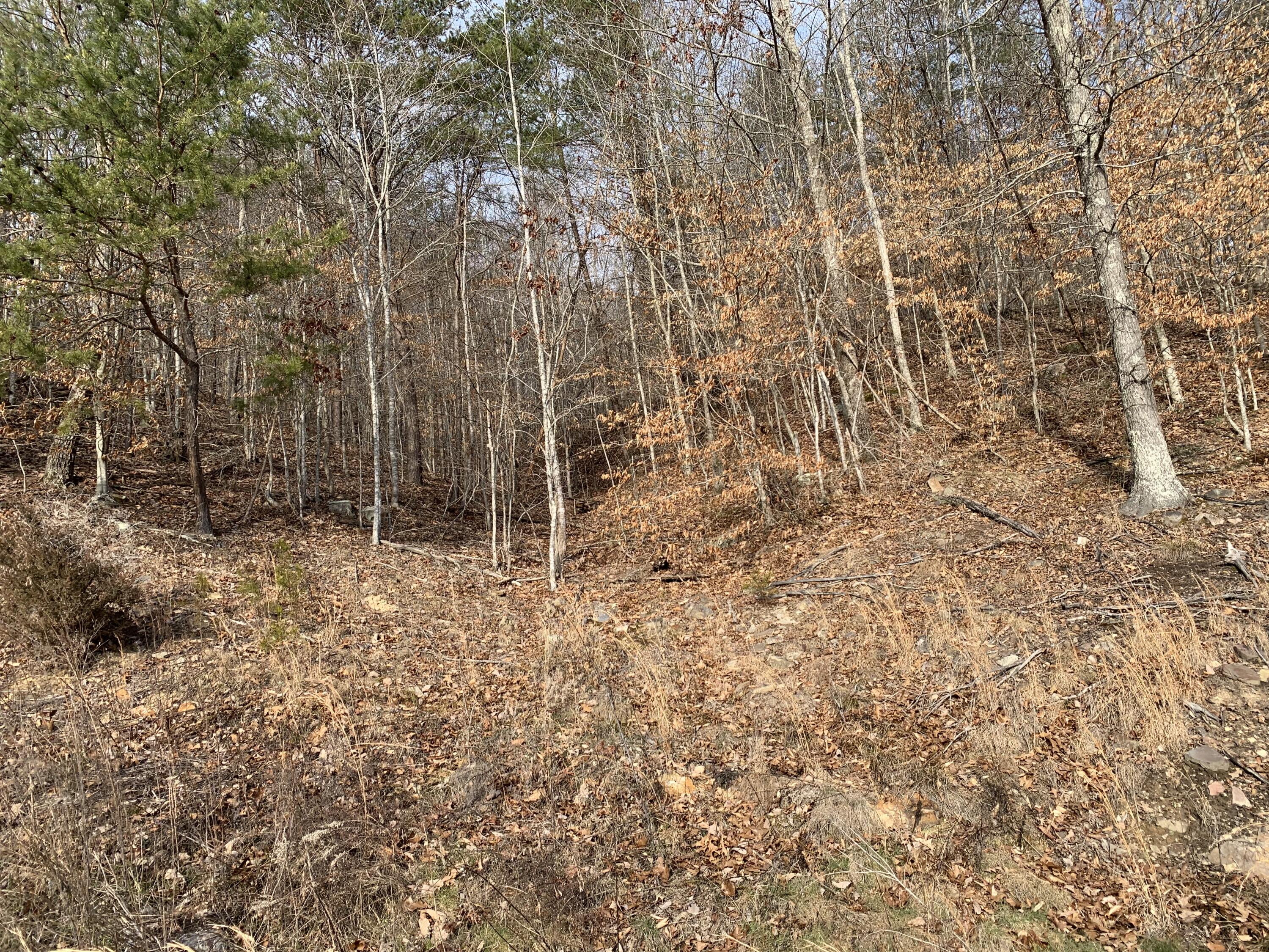 Lot 161 Whistle Valley Road, Unit 161 New Tazewell, TN 37825 - Photo 8 of 42 Photo 7
