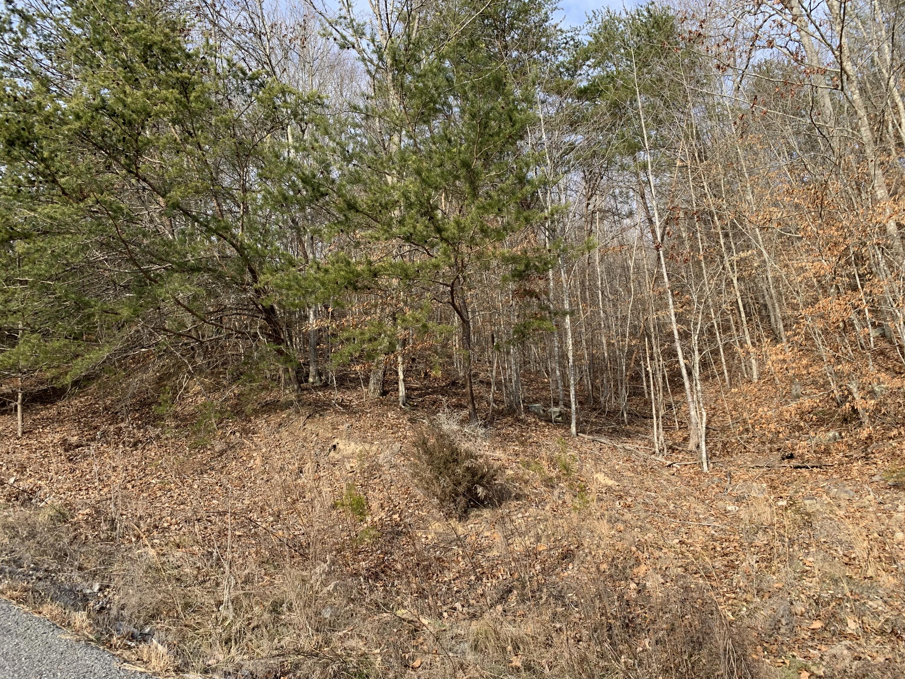 Lot 161 Whistle Valley Road, Unit 161 New Tazewell, TN 37825 - Photo 9 of 42 Photo 8