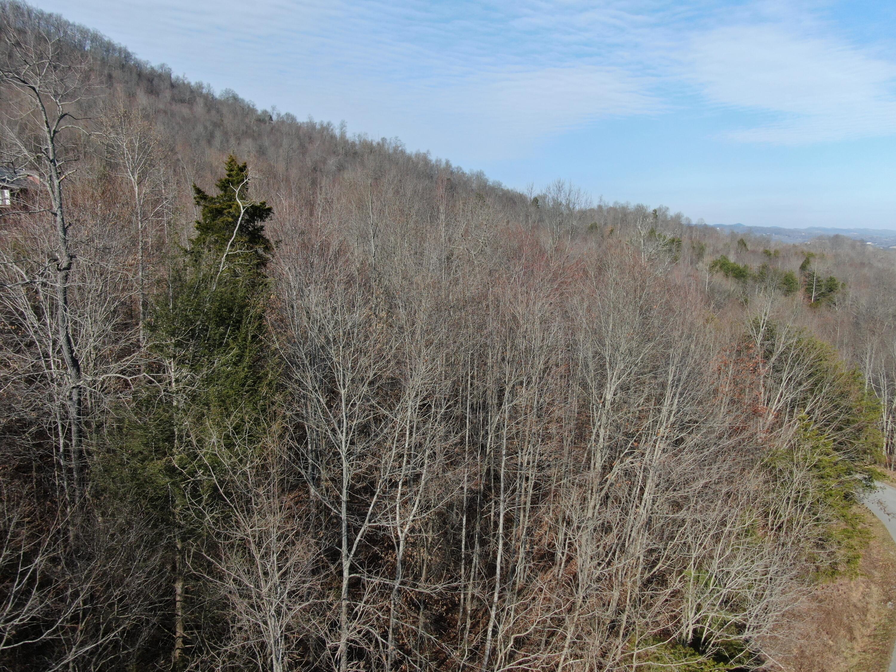 Lot 161 Whistle Valley Road, Unit 161 New Tazewell, TN 37825 - Photo 10 of 42 Drone Photo