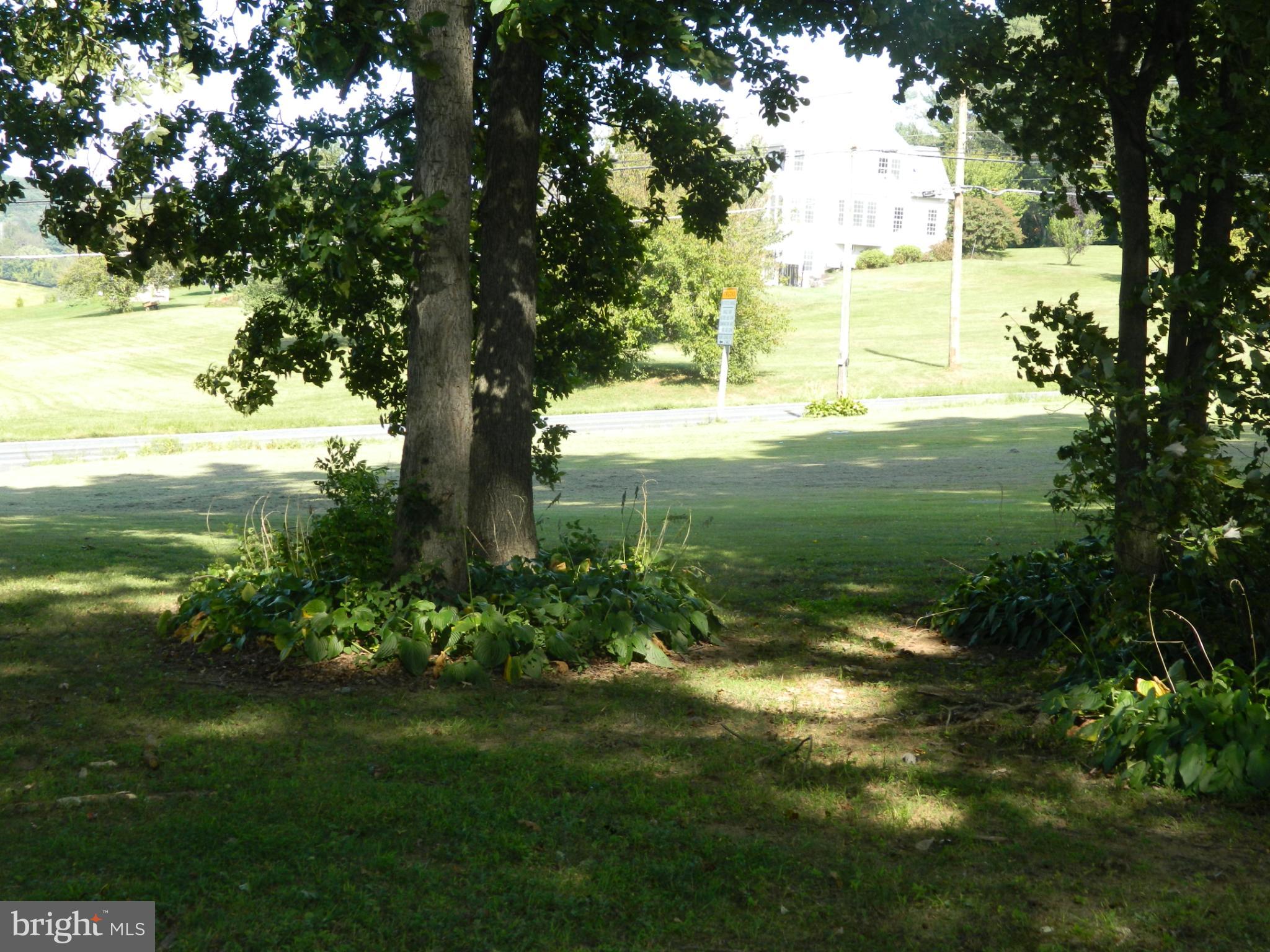 3910 Ady Road Pylesville, MD 21132 - Photo 3 of 24 a view of a garden with an trees