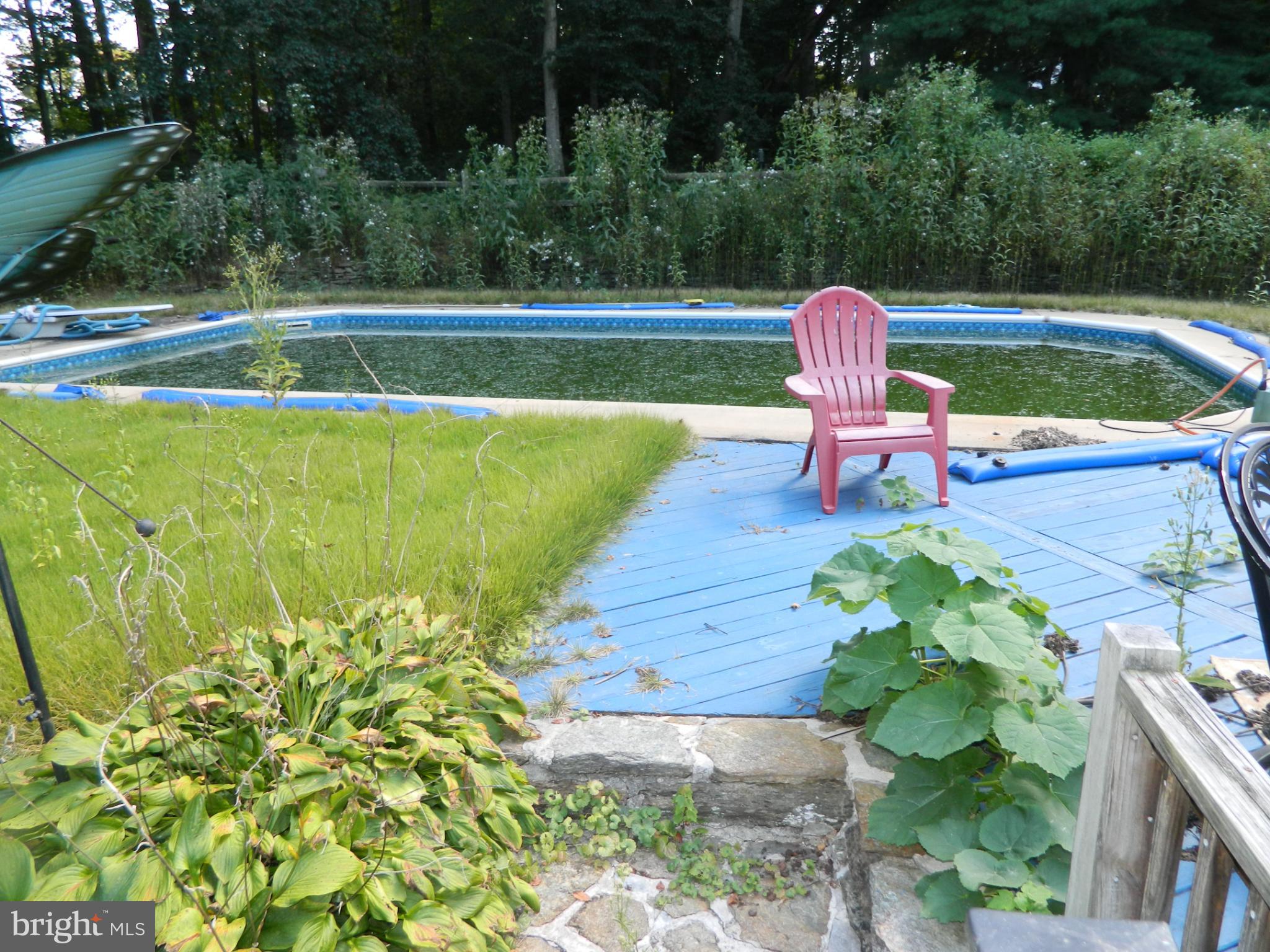 3910 Ady Road Pylesville, MD 21132 - Photo 5 of 24 a view of a swimming pool with a patio and a garden