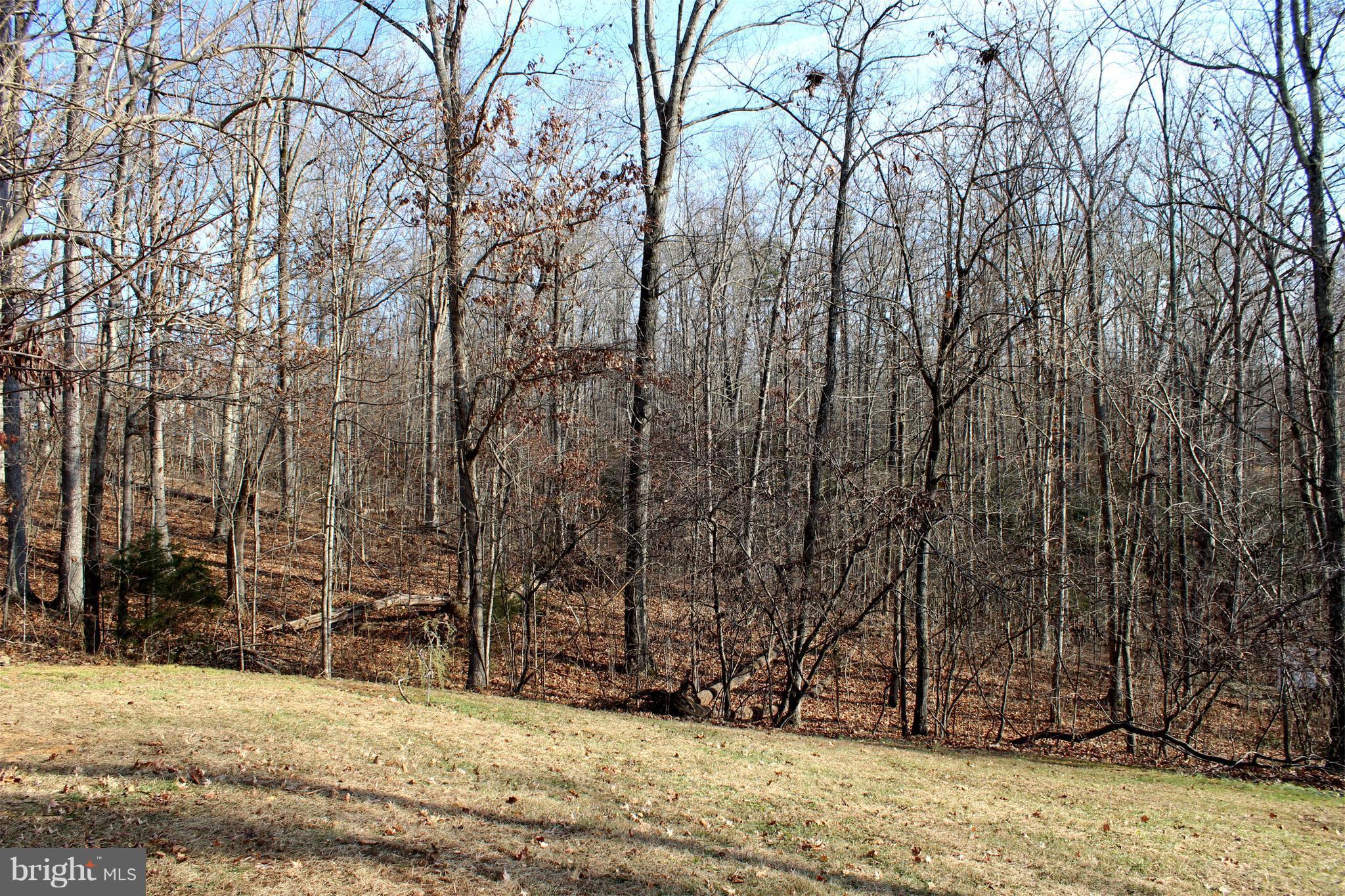 10311 River Road Rixeyville, VA 22737 - Photo 29 of 30 Exterior (General)
