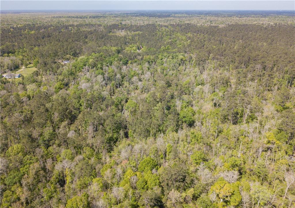 0 Lee's Landing Road Ponchatoula, LA 70454 - Photo 11 of 19