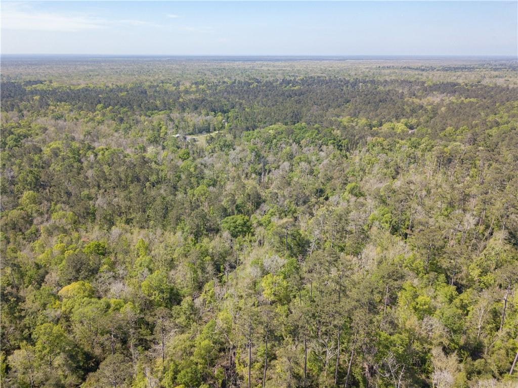 0 Lee's Landing Road Ponchatoula, LA 70454 - Photo 12 of 19