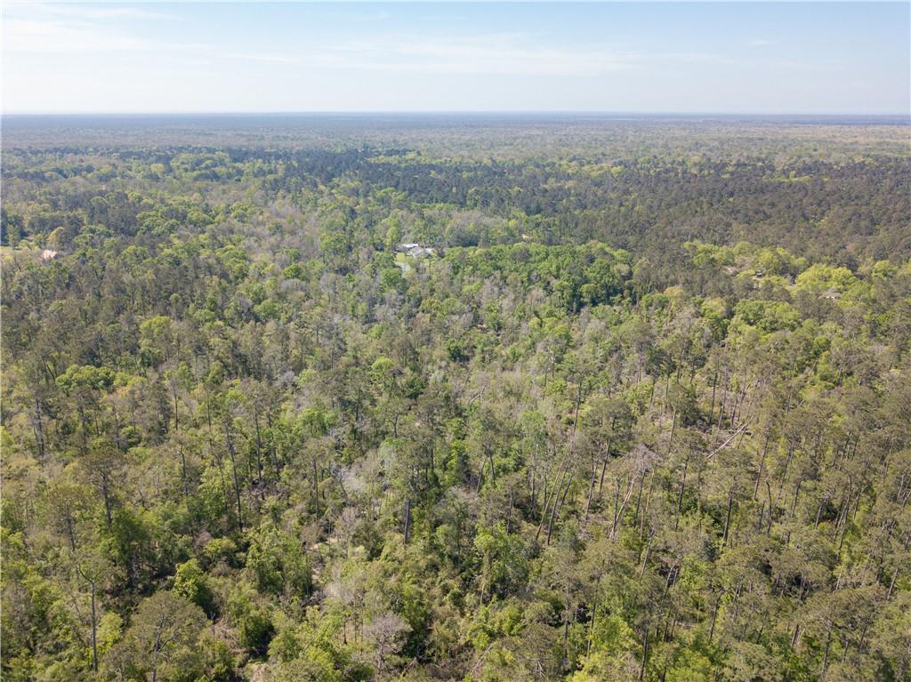 0 Lee's Landing Road Ponchatoula, LA 70454 - Photo 13 of 19