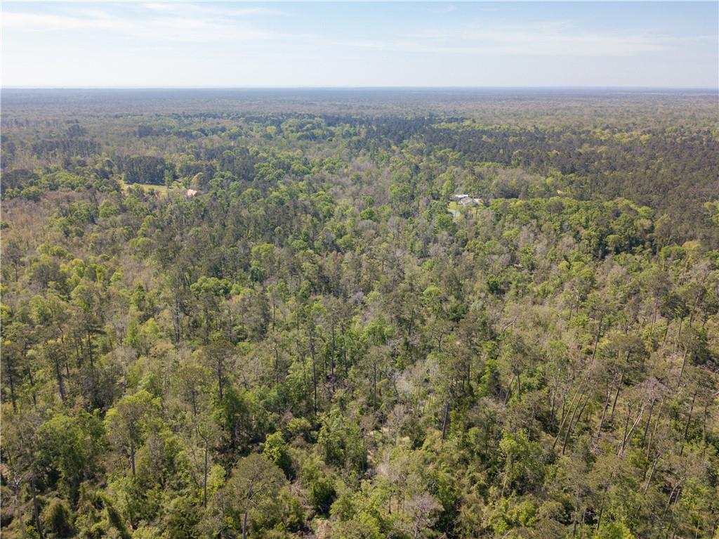 0 Lee's Landing Road Ponchatoula, LA 70454 - Photo 14 of 19