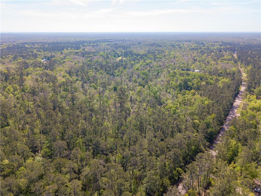 0 Lee's Landing Road Ponchatoula, LA 70454 - Photo 16 of 19