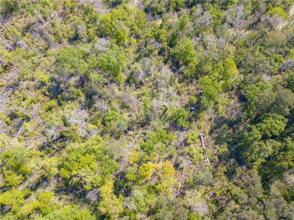 0 Lee's Landing Road Ponchatoula, LA 70454 - Photo 18 of 19