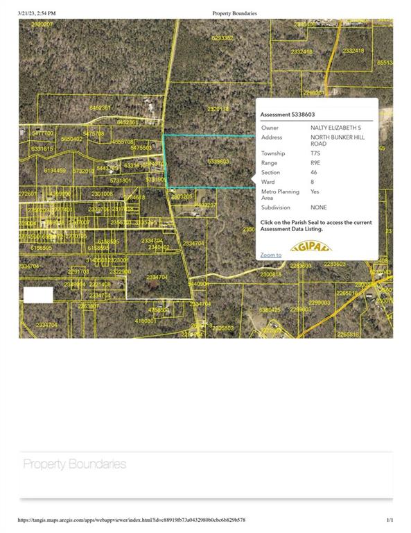 0 Lee's Landing Road Ponchatoula, LA 70454 - Photo 19 of 19