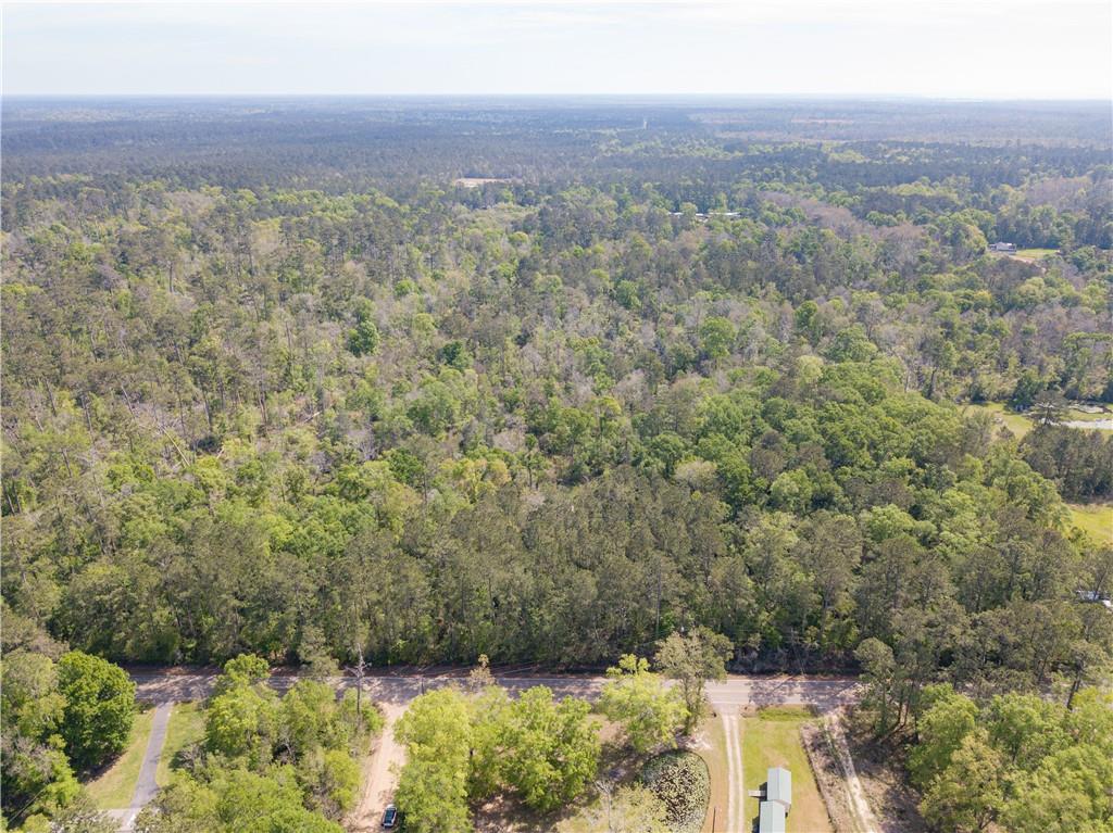0 Lee's Landing Road Ponchatoula, LA 70454 - Photo 2 of 19