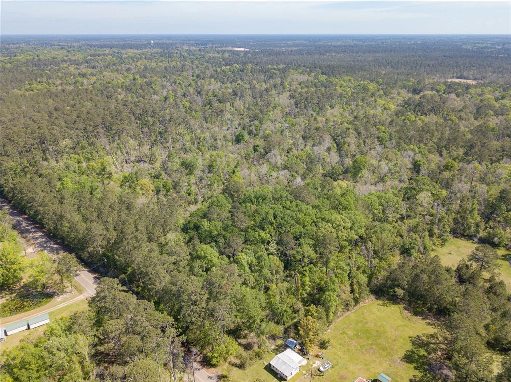 0 Lee's Landing Road Ponchatoula, LA 70454 - Photo 5 of 19
