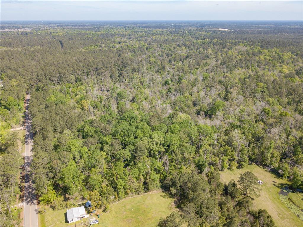 0 Lee's Landing Road Ponchatoula, LA 70454 - Photo 6 of 19