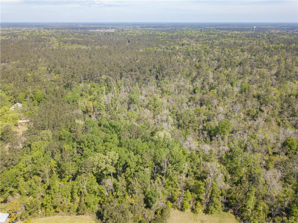 0 Lee's Landing Road Ponchatoula, LA 70454 - Photo 7 of 19